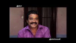 Saravanan Meenatchi S03E50 Tamizh supports their love Full Episode