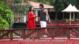 Saravanan Meenatchi S18E206 Saravanan is Disappointed Full Episode