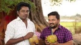 Saravanan Meenatchi S18E24 Saravanan Is Happy! Full Episode