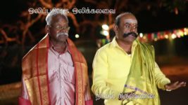 Saravanan Meenatchi S18E266 Sankara Pandi to Climb the Pole? Full Episode