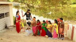 Saravanan Meenatchi S18E300 Danger Awaits Vedavalli Full Episode