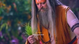 Shiv Shakti S01 E457 Ganesh's miraculous recovery