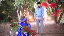 Shreegowri S01 E160 Appu accepts Gowri's proposal