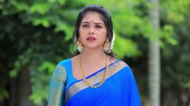 Shreegowri S01 E164 Appu and Gowri's marriage Starts