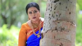 Shreegowri S01 E165 Mangalamma attends Appu's naandi