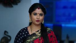 Vantalakka S01 E156 Nagamma's Wicked Plan