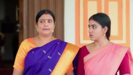 Anna (Tamil) S01 E483 2nd October 2024