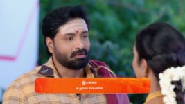 Anna (Tamil) S01 E495 17th October 2024