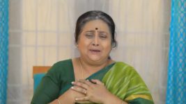 Baakiyalakshmi S01 E1237 Baakiyalakshmi Makes a Plea