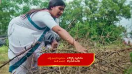 Chinni (Star Maa) S01 E93 Balaraju Is Shattered