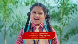 Chinni (Star Maa) S01 E98 Balaraju Is Determined