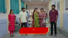 Gunde Ninda Gudi Gantalu S01 E281 Prabavathi Blames Balu