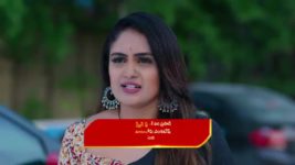 Intinti Ramayanam (Star Maa) S01 E101 Pallavi Wants Vengeance