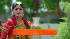 Janaki Ramayya Gari Manavaralu S01 E133 7th October 2024