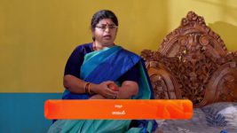 Janaki Ramayya Gari Manavaralu S01 E146 22nd October 2024