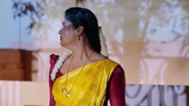 Janaki Ramayya Gari Manavaralu S01 E147 23rd October 2024