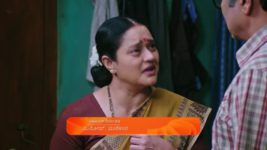 Lakshmi Nivasa S01 E336 7th October 2024