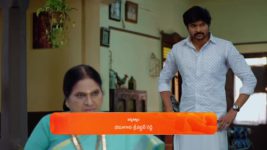 Maa Annaya (Zee Telugu) S01 E181 14th October 2024