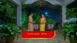 Maguva O Maguva S01 E205 Sindhura Demands Chenchalamma