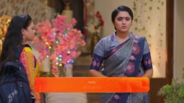 Meghasandesam (Zee Telugu) S01 E126 26th October 2024