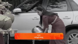 Nindu Noorella Saavasam S01 E389 1st November 2024