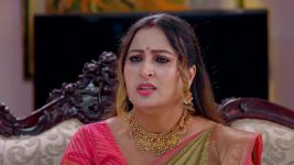 Paape Maa Jeevana Jyothi S01 E1073 A Shocker for Kutti, Vishal