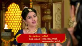 Renuka Yellamma (Star Maa) S01 E483 Jamadagni Grows Wary of Mangaladevi