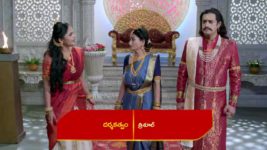 Renuka Yellamma (Star Maa) S01 E499 Richika Commands Jamadagni