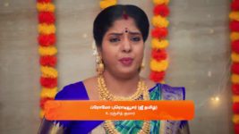 Sandhya Raagam (Tamil) S01 E355 28th October 2024