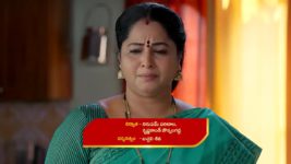 Satyabhama S01 E221 Rudhra Is Furious with Satya