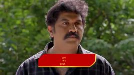 Satyabhama S01 E229 Satya Is Unsuccessful