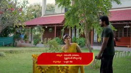 Satyabhama S01 E230 Sanjay Deceives Krish