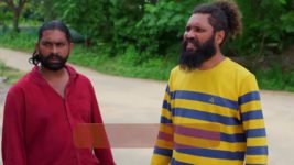 Seethe Ramudi Katnam S01 E333 24th October 2024