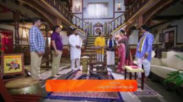 Shravani Subramanya S01 E150 11th October 2024