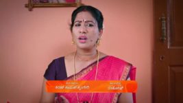 Shravani Subramanya S01 E152 15th October 2024