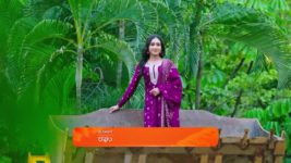 Shravani Subramanya S01 E163 31st October 2024