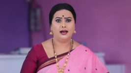 Shreegowri S01 E193 Gowri and Appu to face a new deal