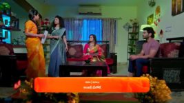 Trinayani (Telugu) S01 E1377 16th October 2024