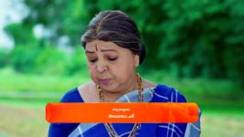 Trinayani (Telugu) S01 E1386 26th October 2024