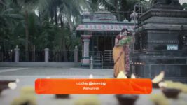 Veera (Zee Tamil) S01 E188 1st November 2024