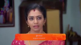 Anna (Tamil) S01 E488 9th October 2024