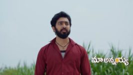 Maa Annaya (Zee Telugu) S01 E177 9th October 2024