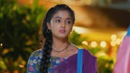 Meghasandesam (Zee Telugu) S01 E111 9th October 2024