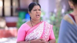 Shreegowri S01 E176 Archana troubles Gowri