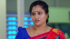 Ammayi Garu S01 E646 23rd November 2024