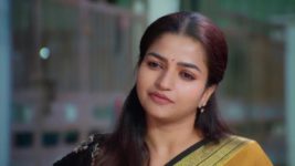 Anna (Tamil) S01 E513 5th November 2024