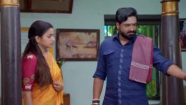 Anna (Tamil) S01 E519 12th November 2024