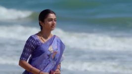 Anna (Tamil) S01 E528 22nd November 2024