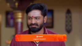 Anna (Tamil) S01 E529 23rd November 2024