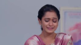 Anna (Tamil) S01 E534 29th November 2024